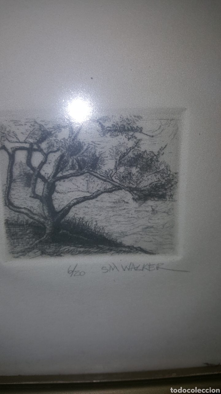 Arte: GRABADO SM WALKER 6/20 - Foto 3