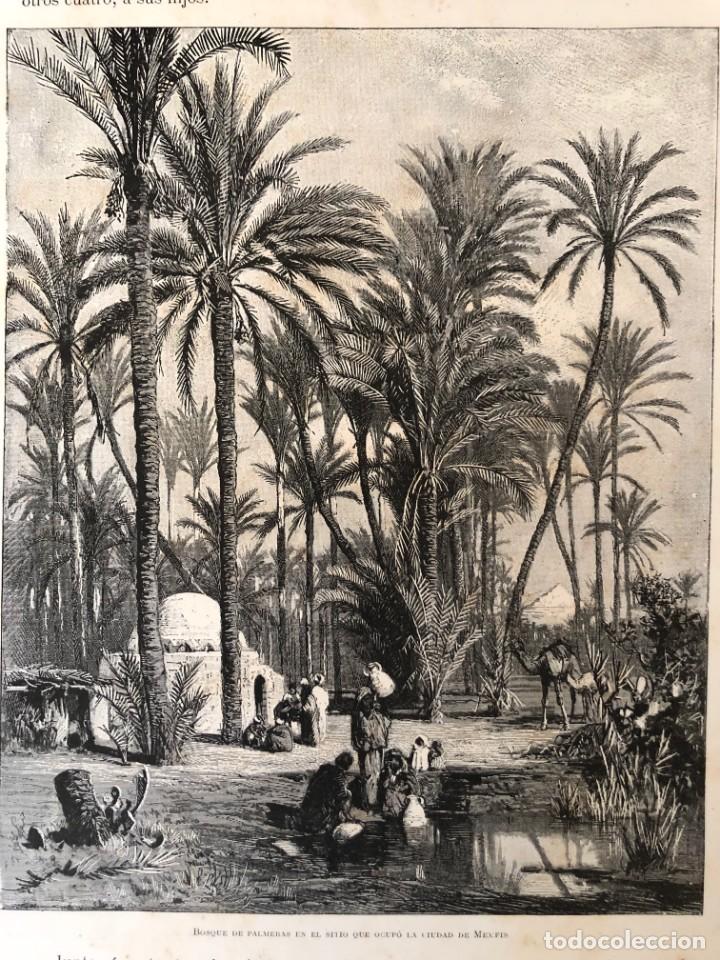 Arte: Grabado 1878 – bosque palmeras sitio que ocupó la ciudad de Menfis (Egipto)- tamaño gran folio - Foto 1 - 210381750