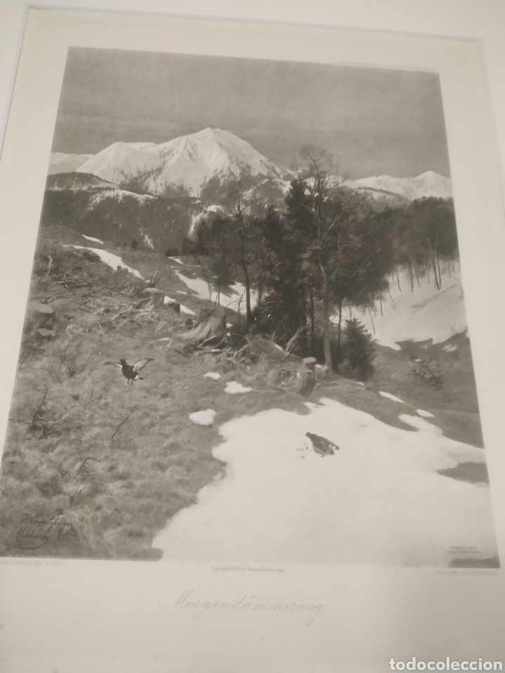 Art: J.Schimisberger gravure hanfstaengl. Morgendammerubg