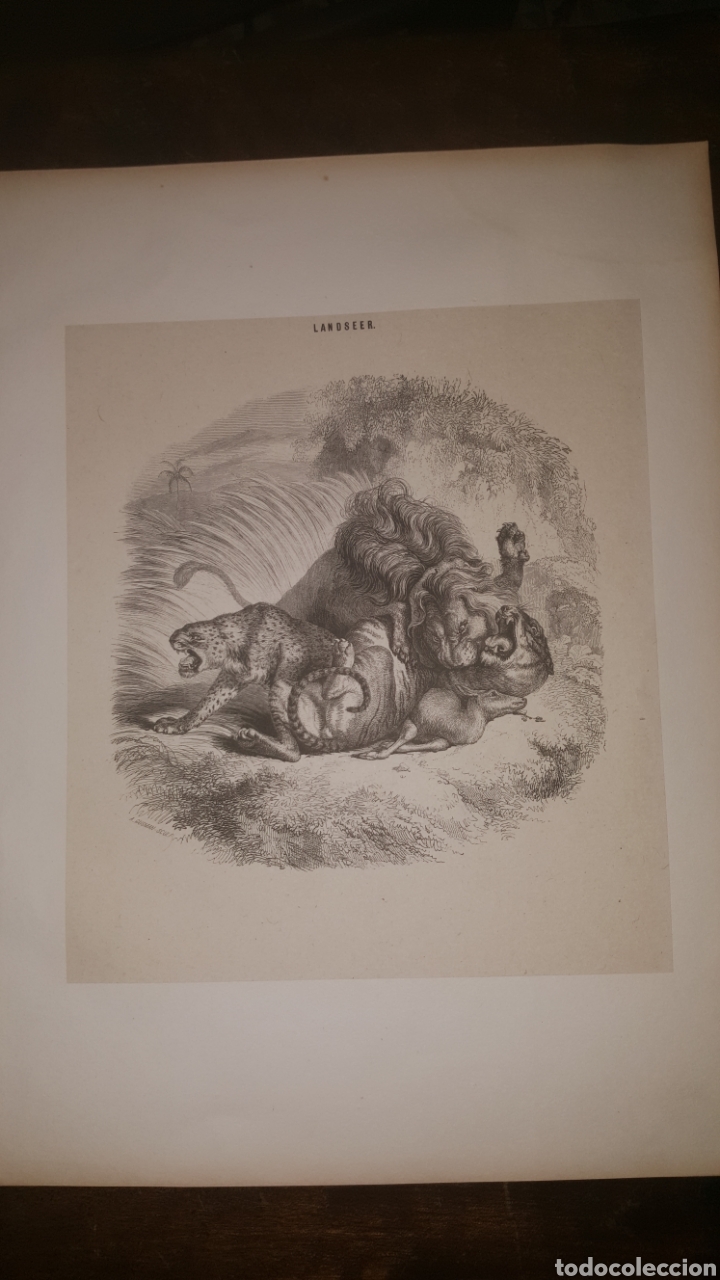 Arte: Grabado LANDSEER - Foto 1
