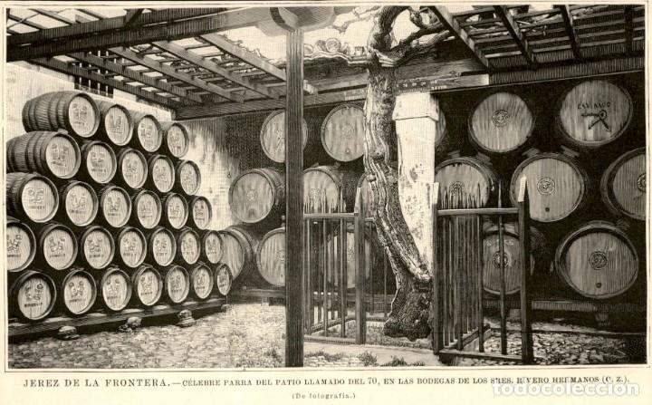 Art: 1894 - Jerez de la Frontera - Bodegas de los sres. Rivero Hermanos - La Ilustraci&oacute;n Espa&ntilde;ola