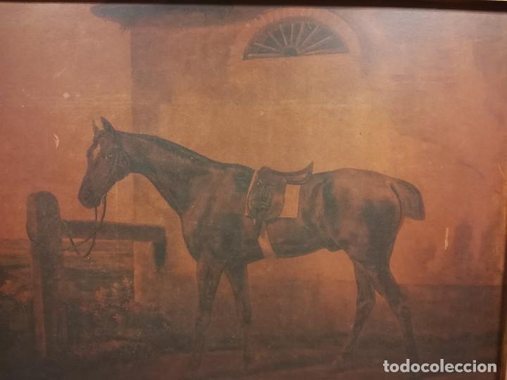 Arte: CUADRO IMPRESION CABALLO CON MARCO DORADO - Foto 2