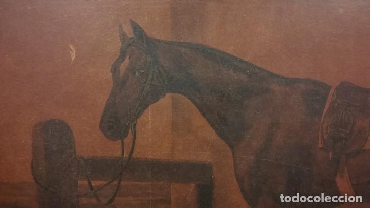 Arte: CUADRO IMPRESION CABALLO CON MARCO DORADO - Foto 3