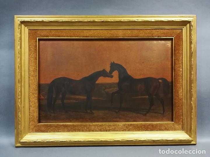 Arte: CUADRO IMPRESION PAREJA CABALLOS CON MARCO DE MADERA - Foto 1