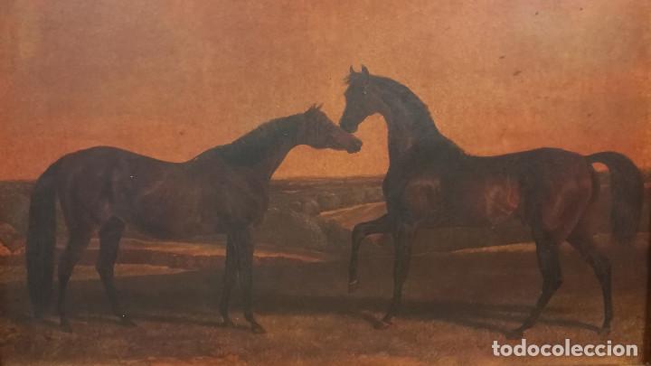 Arte: CUADRO IMPRESION PAREJA CABALLOS CON MARCO DE MADERA - Foto 2