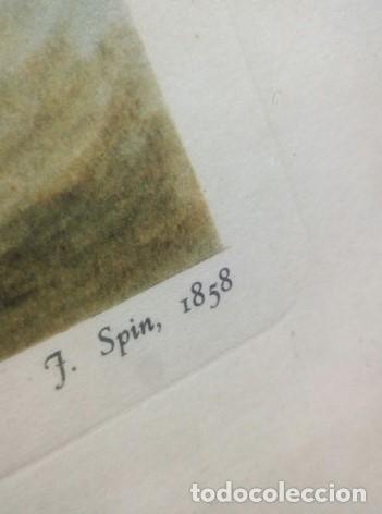 Arte: RHIJNVIS FEITH 1858 . Grabado ORIGINAL - Foto 4