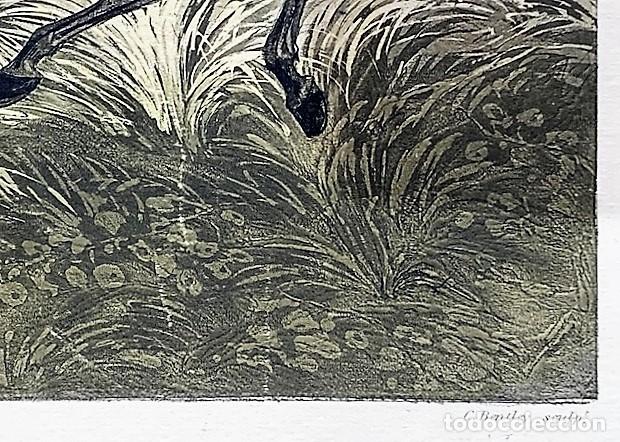 Arte: GRABADO HENRY THOMAS ALKEN - C BENTLEY - Foto 4