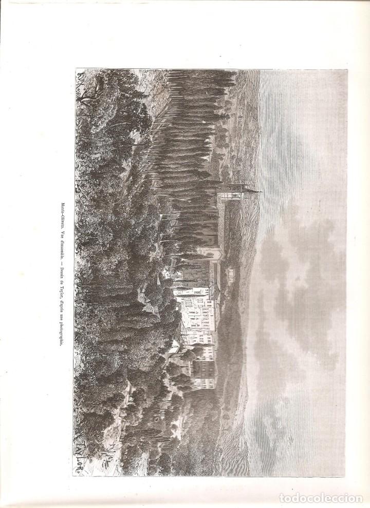 Arte: 2502. italia. monte olivo