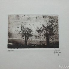 Arte: TREES TRES. AGUAFUERTE SOBRE PLANCHA DE ZINC. FERNANDO RUIZ VILLAESPESA. Lote 224388550