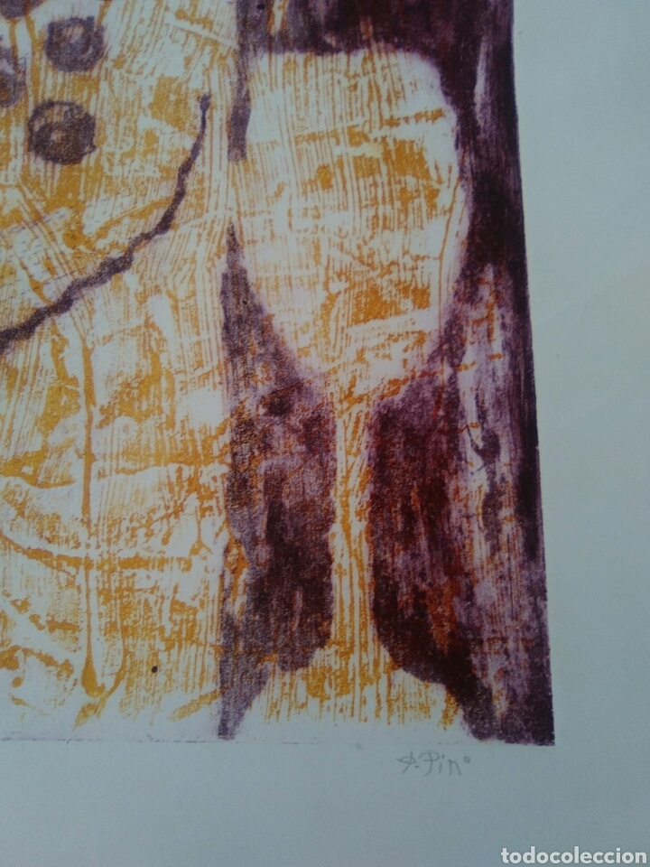 Arte: Grabado de Pablo del Pino - Foto 2