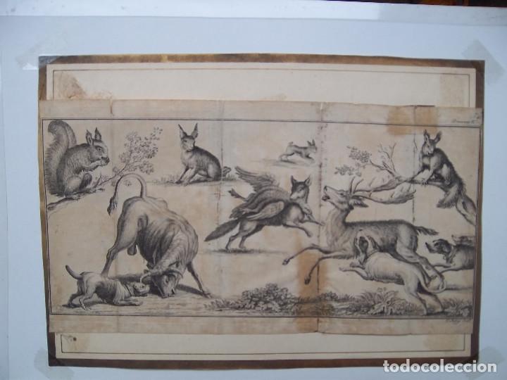 GRABADO DE ANIMALES (Arte - Grabados - Modernos siglo XIX)