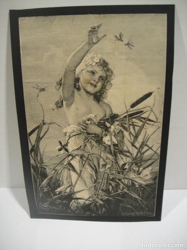 Arte: en pos de las mariposas - paul wagner