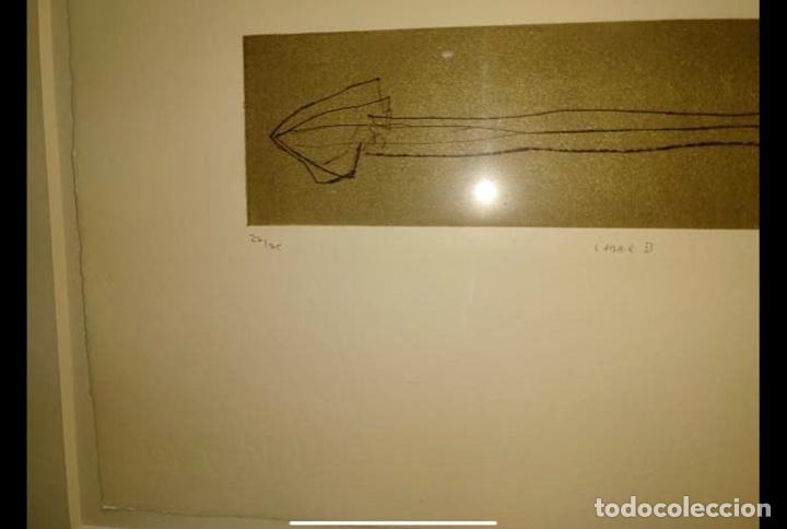 Arte: Grabado Ana rosa alberca - Foto 7