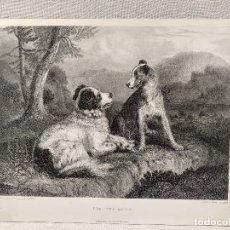 Arte: THE TWA DOGS DE SIR EDWIN LANDSEER, GRABADO THE ART JOURNAL 1870 PERRO