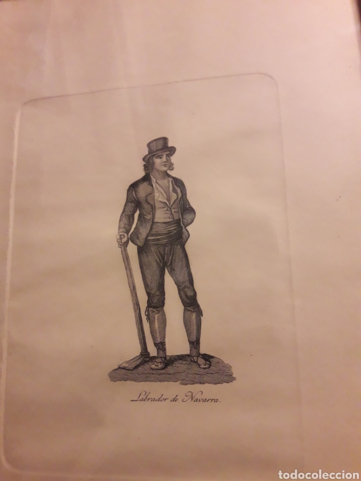 Arte: Antiguo grabado, Labrador de Navarra - Foto 2