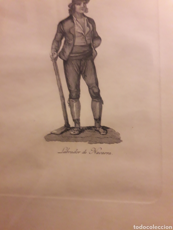 Arte: Antiguo grabado, Labrador de Navarra - Foto 3