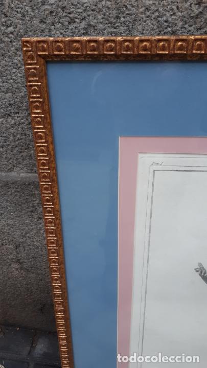 Arte: Grabado de Ceres. Mitolog&iacute;a. - Foto 7