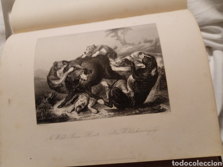 Arte: The Boar Hunt - Foto 2