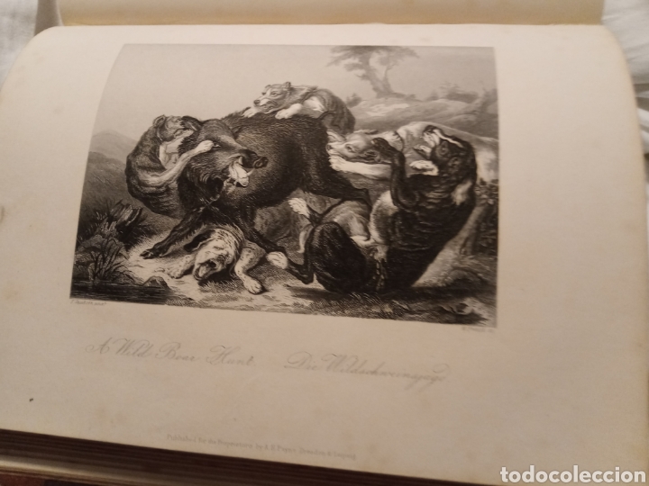 Arte: The Boar Hunt - Foto 1