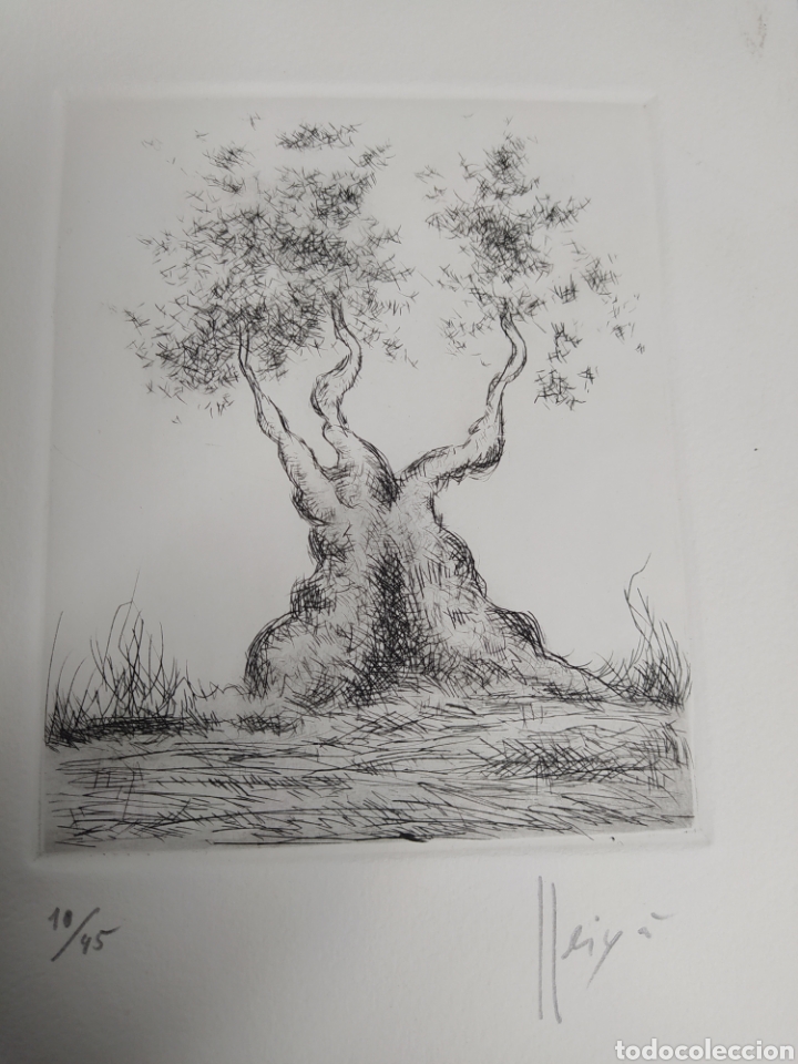 Arte: GRABADO DANIEL LLEIX&Agrave;, FIRMADO - Foto 2
