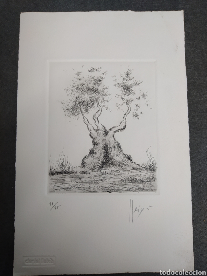 Arte: GRABADO DANIEL LLEIX&Agrave;, FIRMADO - Foto 1