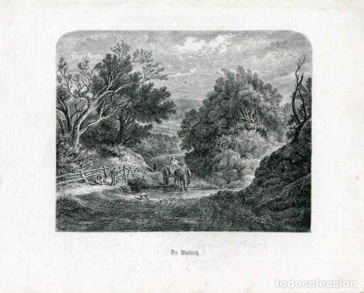 Art: Der Waldbach, arroyo del bosque - Grabado original antiguo alem&aacute;n - s. XIX
