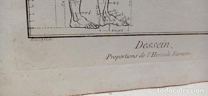 Arte: Antiguo Gran Grabado S. XVIII Diseño: Las proporciones HERCULES FARNESIO . Francia Gay INT. - Foto 2 - 254439940