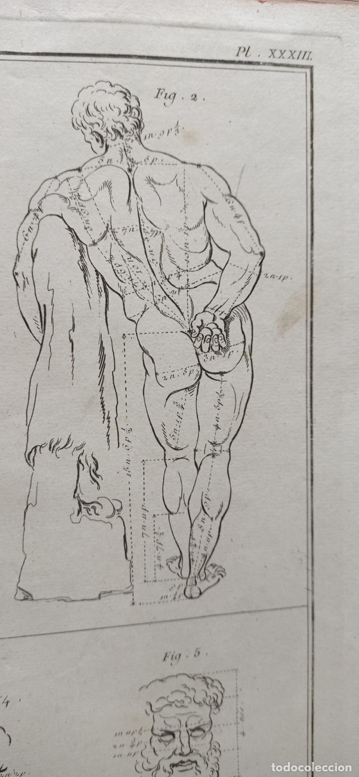 Arte: Antiguo Gran Grabado S. XVIII Diseño: Las proporciones HERCULES FARNESIO . Francia Gay INT. - Foto 4 - 254439940
