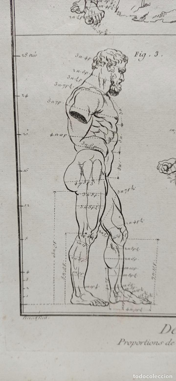 Arte: Antiguo Gran Grabado S. XVIII Diseño: Las proporciones HERCULES FARNESIO . Francia Gay INT. - Foto 5 - 254439940