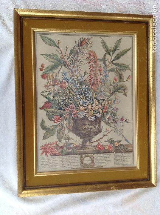 grabado icoloreado ingles. año 1730 Comprar Grabados Antiguos Arte