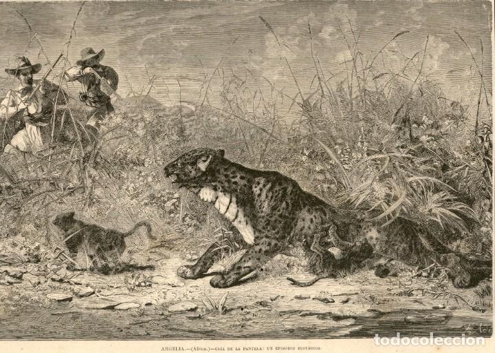 Art: 1871 - Argelia Africa - Caza de la pantera - La Ilustraci&oacute;n Espa&ntilde;ola