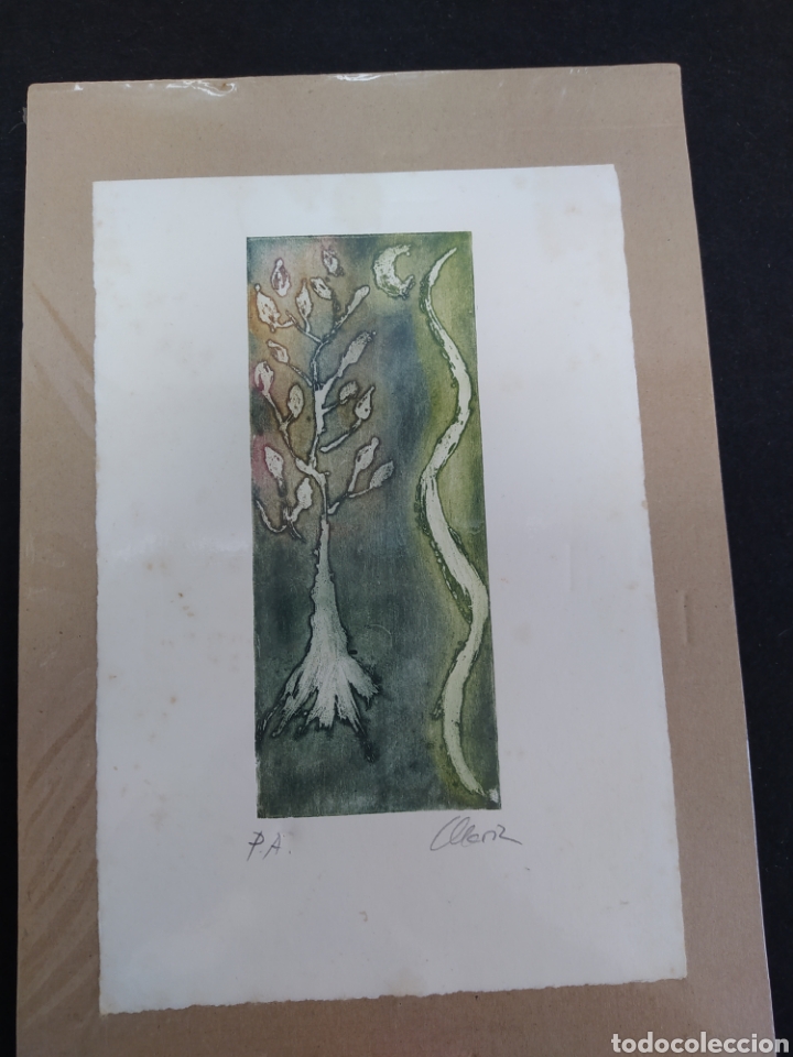 Arte: GRABADO MARIA RIERA - Foto 1