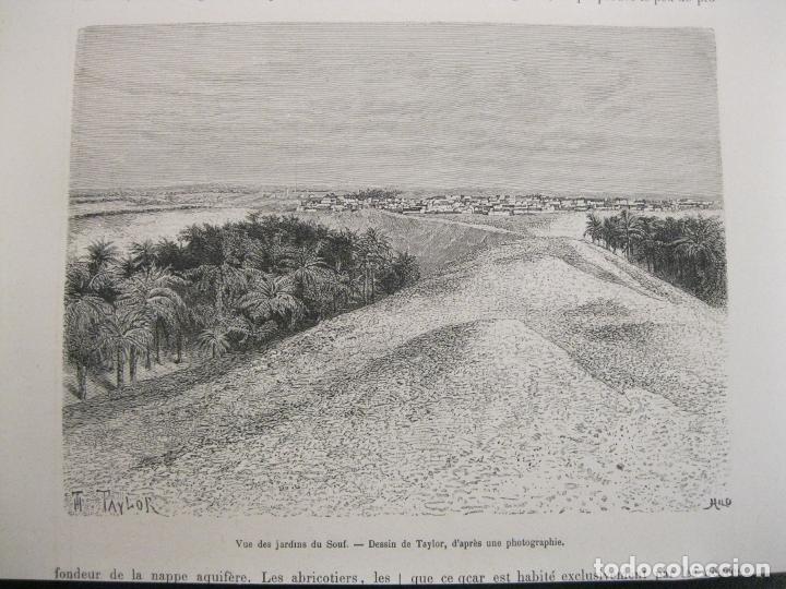 Arte: Vista de los jardines de Souf (Argelia, &Aacute;frica), hacia 1881. Taylor