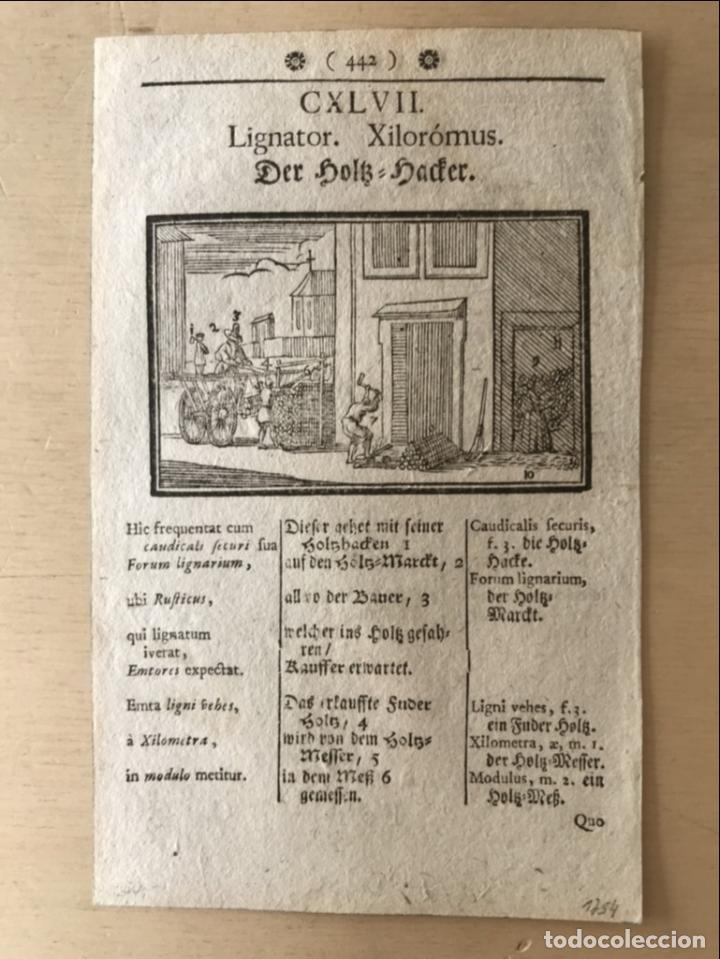 Arte: Le&ntilde;a para casa, 1754. An&oacute;nimo - Foto 3