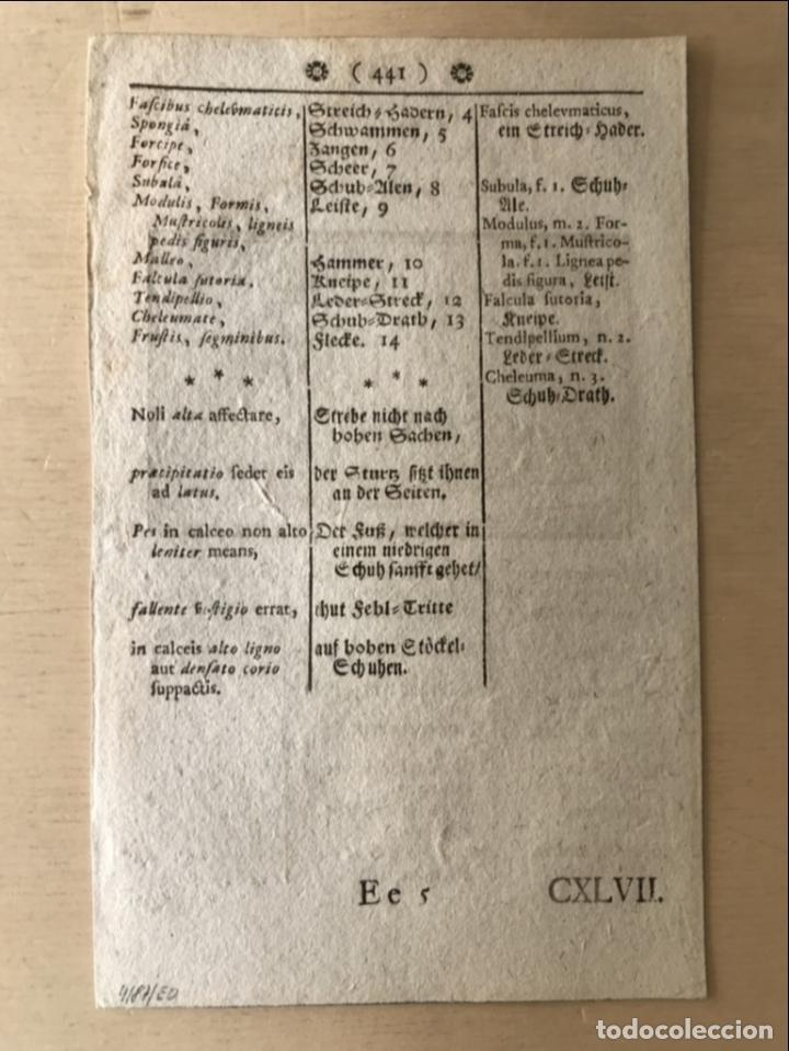 Arte: Le&ntilde;a para casa, 1754. An&oacute;nimo - Foto 5