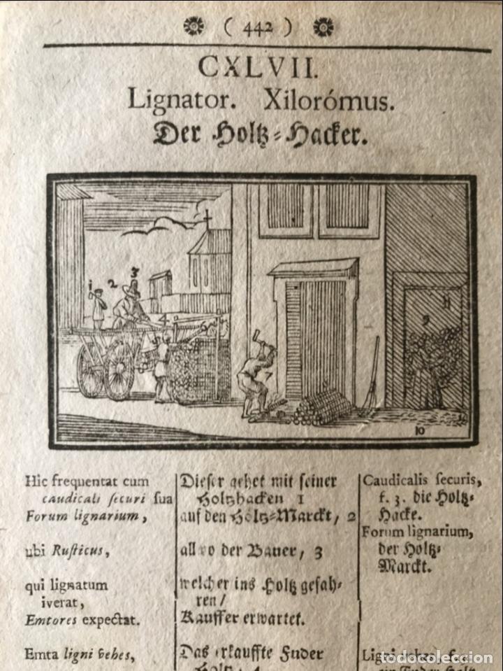 Arte: Le&ntilde;a para casa, 1754. An&oacute;nimo - Foto 1