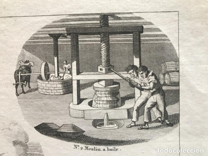Arte: Elaboraci&oacute;n del aceite y del jab&oacute;n, 1822. An&oacute;nimo - Foto 5
