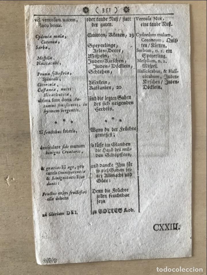 Arte: El jardinero y el noble, 1754. An&oacute;nimo - Foto 4