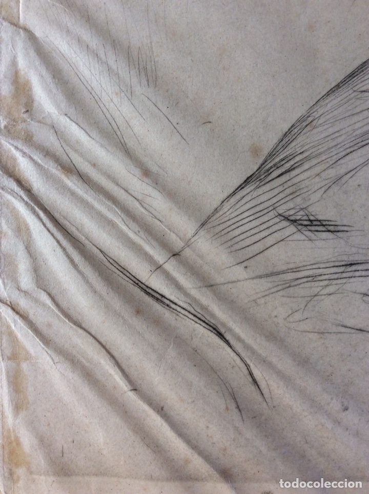 Arte: GRABADO FIRMADO Y NUMERADO - Foto 6