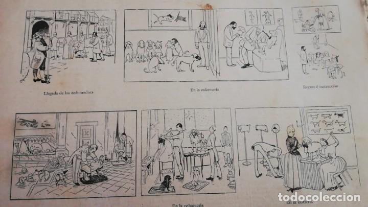 Arte: Antiguo Grabado - antique engraving : Vi&ntilde;etas. Casa pensi&oacute;n para perros 1890 1