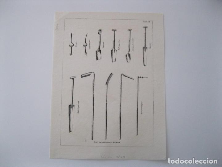 Arte: Distintas azadas y palas, 1860. An&oacute;nimo - Foto 1