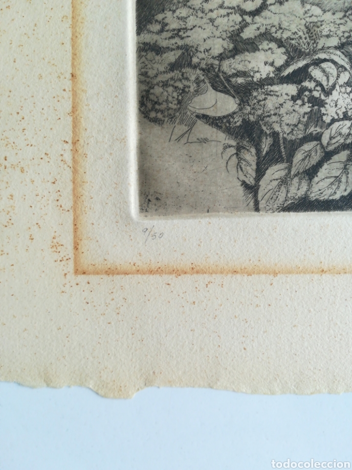 Arte: C. HERMOSILLA. Grabado Antiguo. - Foto 2