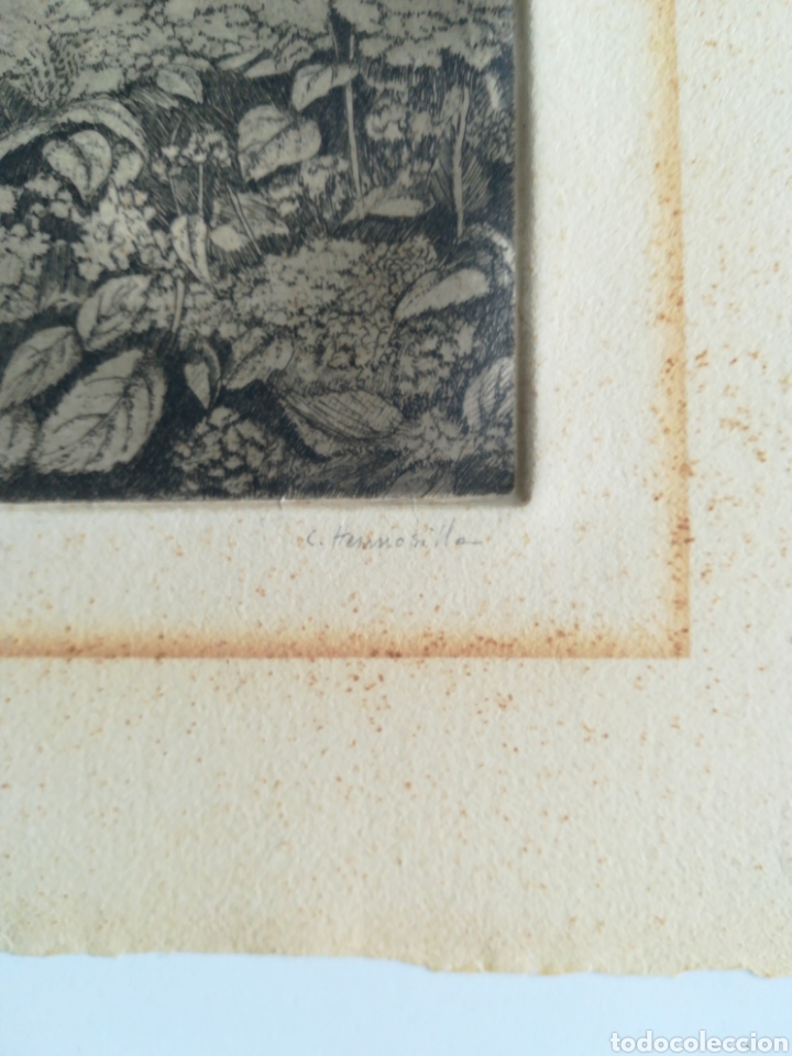 Arte: C. HERMOSILLA. Grabado Antiguo. - Foto 3