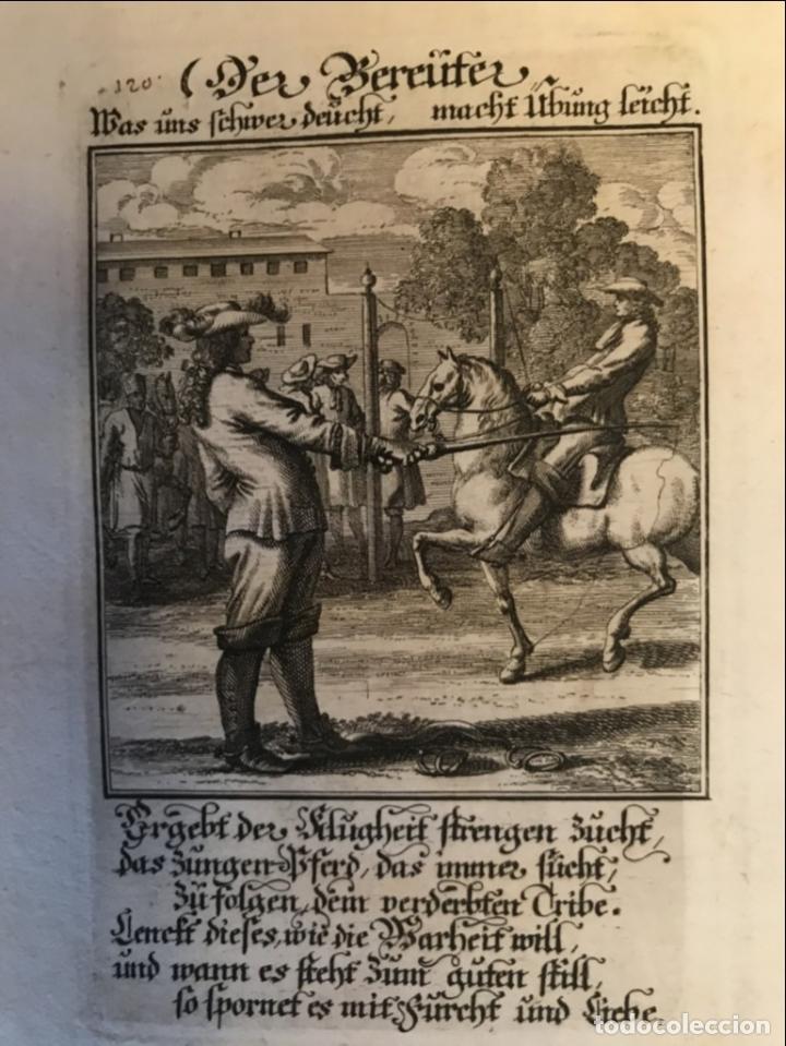 Arte: Escena de doma de caballo, 1698. Luyken/Weigel - Foto 3
