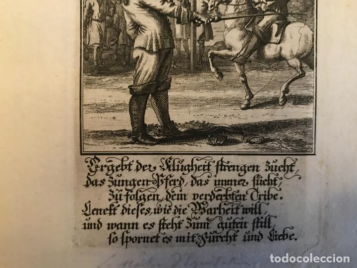 Arte: Escena de doma de caballo, 1698. Luyken/Weigel - Foto 4