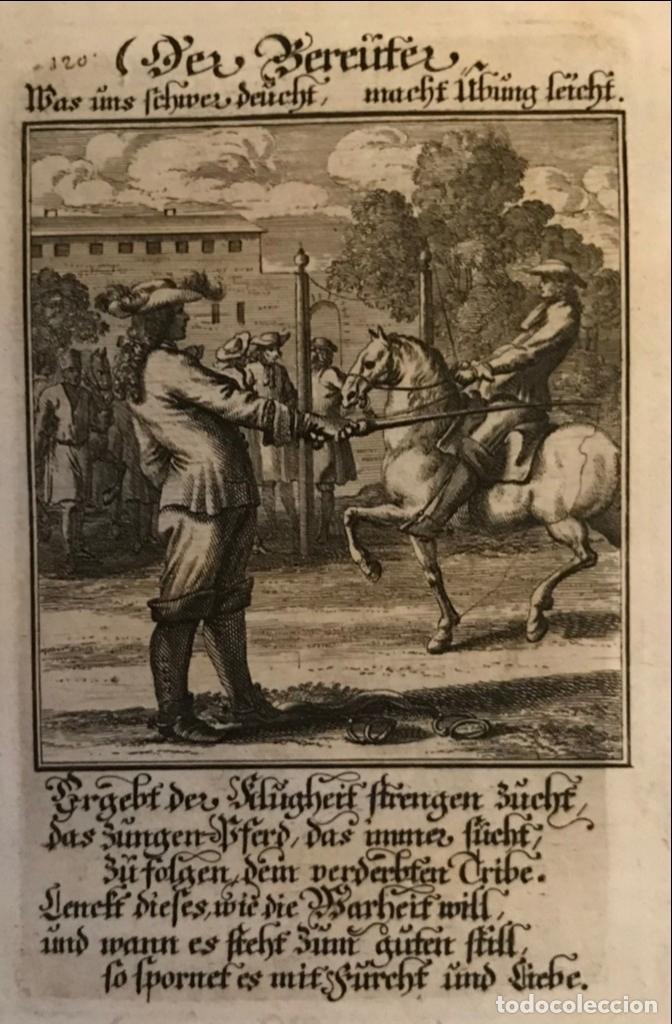 Arte: Escena de doma de caballo, 1698. Luyken/Weigel - Foto 6