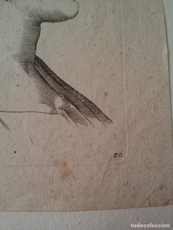 Arte: Perfil, grabado de 1825 - Foto 5
