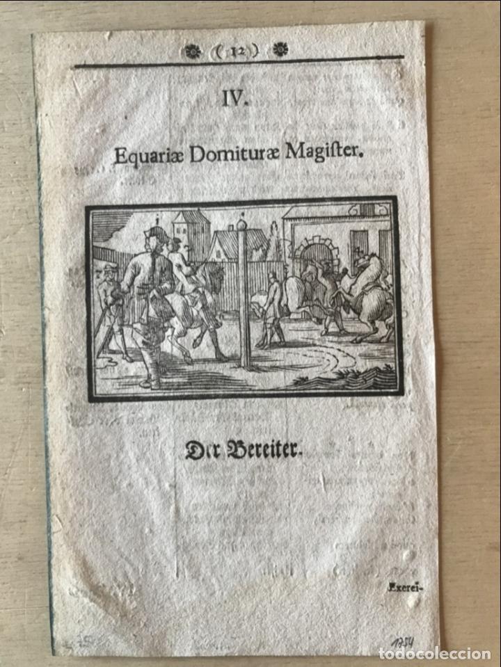 Arte: Escuela de equitaci&oacute;n renacentista, 1691. S - Foto 2