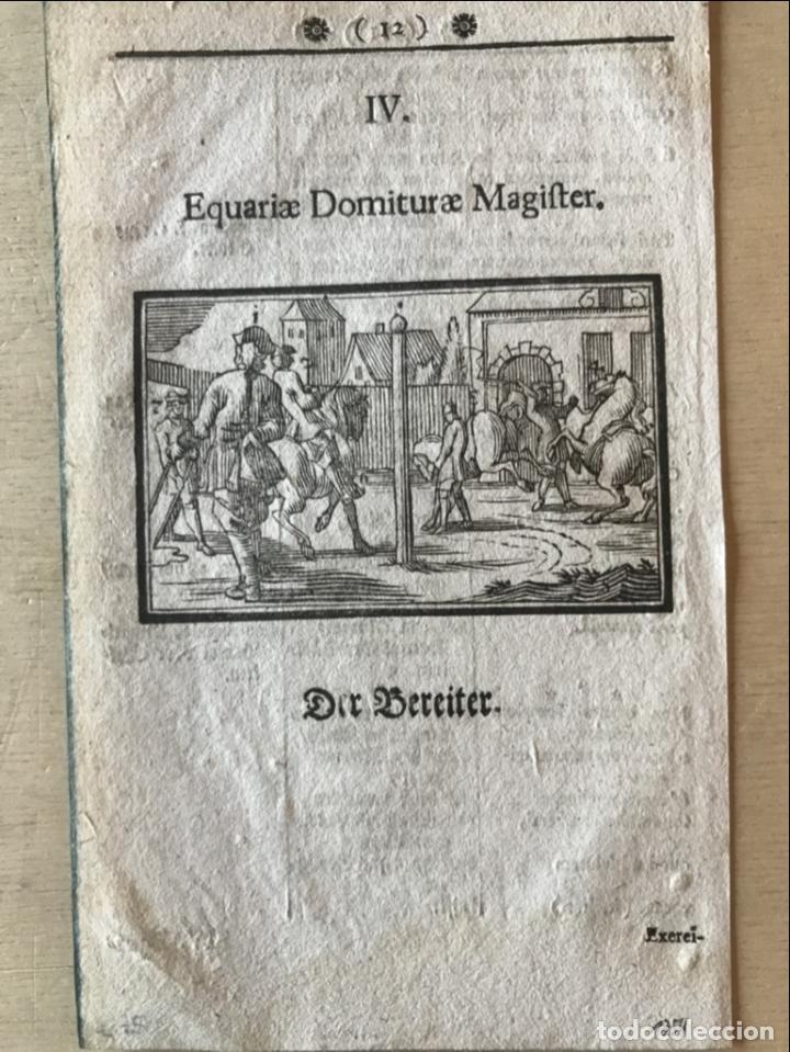 Arte: Escuela de equitaci&oacute;n renacentista, 1691. S - Foto 3
