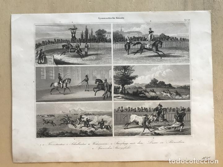Arte: Diferentes formas de utilizar el caballo, 1845. An&oacute;nimo - Foto 2